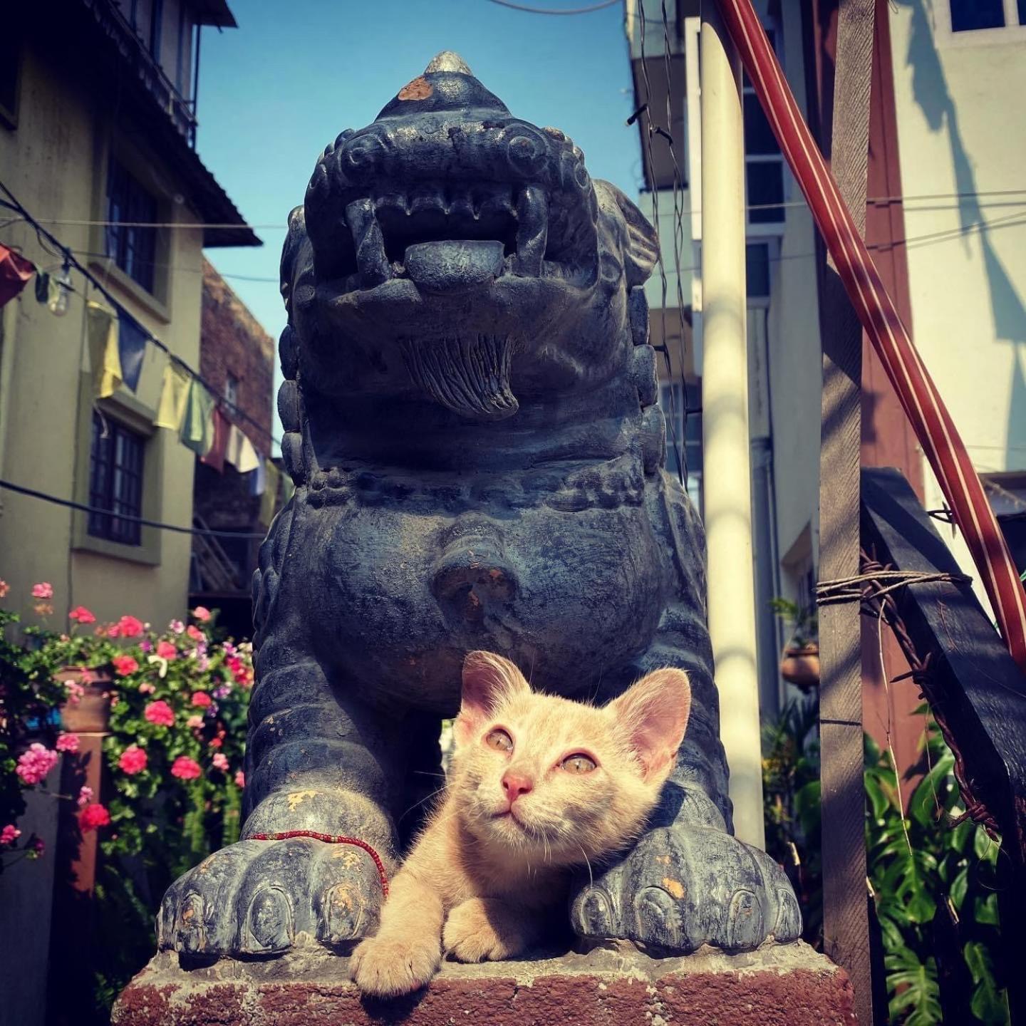 Yog Hostel Kathmandu Buitenkant foto